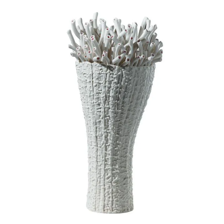 Anthozoa Coral Vase