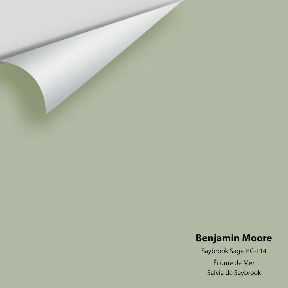 Benjamin Moore - Saybrook Sage HC-114 Colour Sample