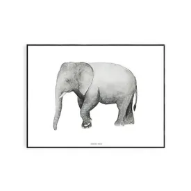 Fashionell Elephant Print