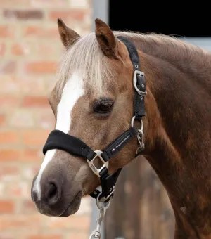 Fleece Padded Pony Head Collar Black