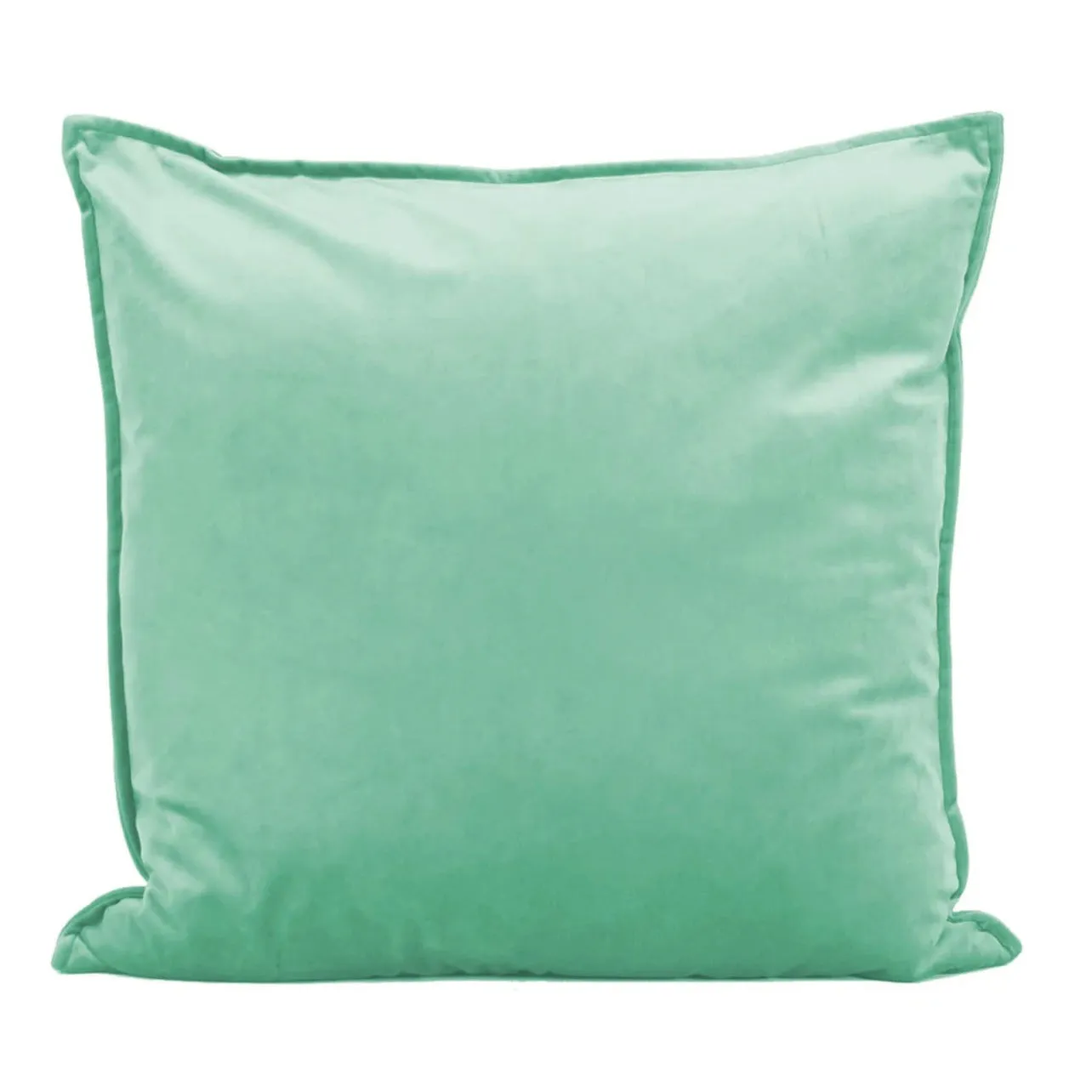 Velvet Throw Cushion